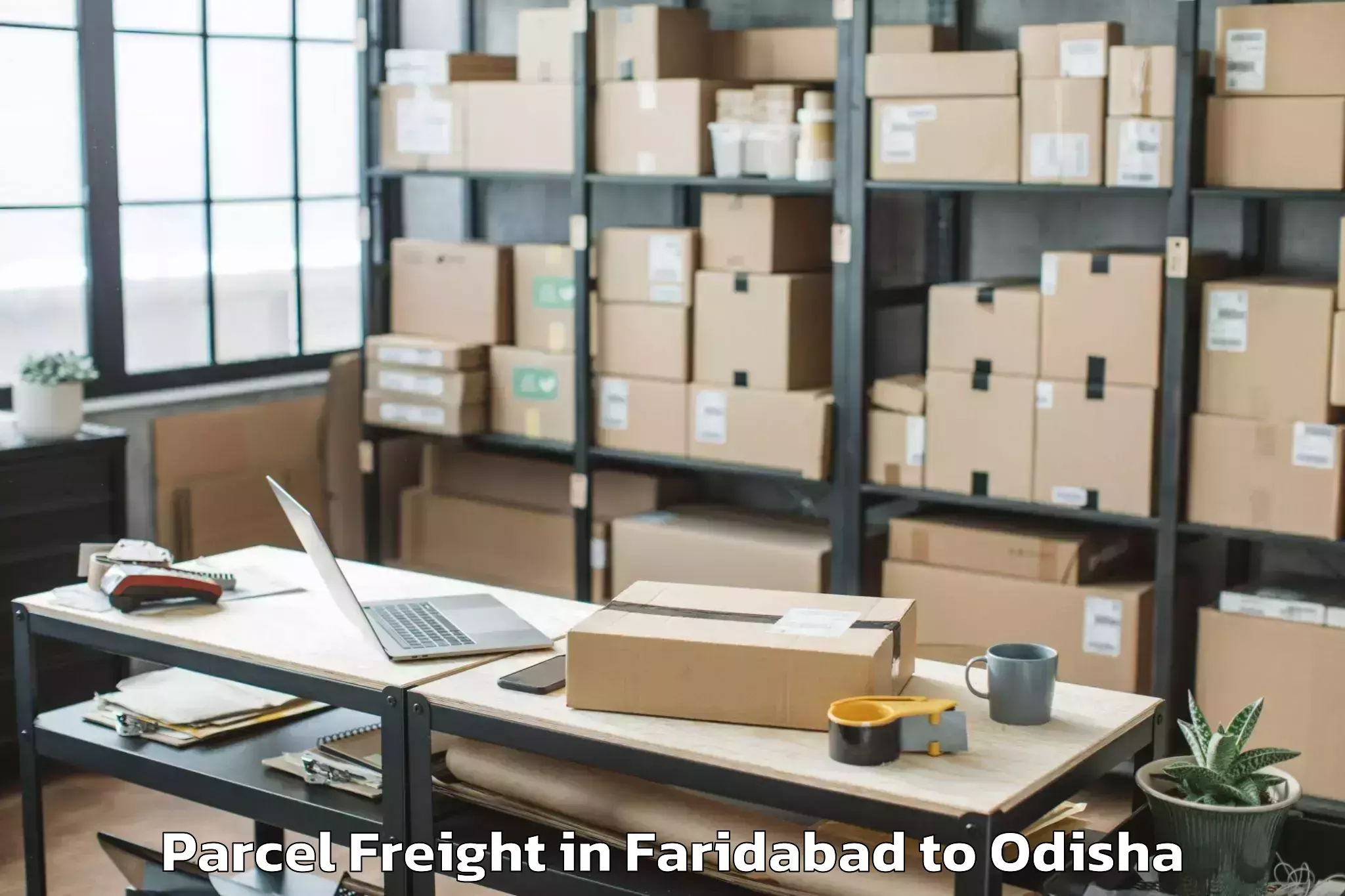 Book Faridabad to Malkangiri Parcel Freight Online